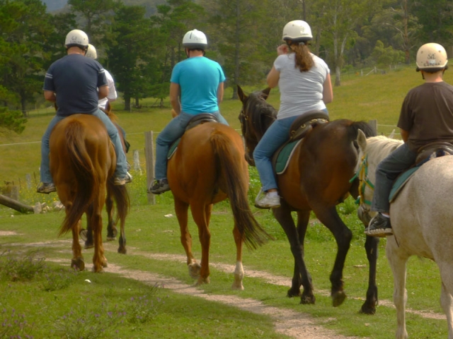  Un paseo en la silla 